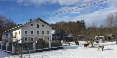 Hofbild Gaestehof Huber